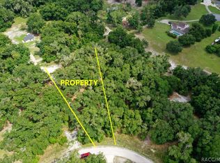 4110 S Kenvera Loop, Inverness, FL 34450
