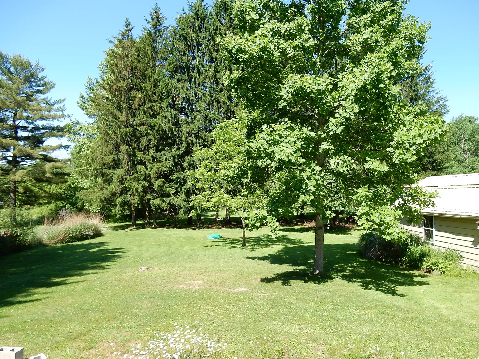 1210 Maple Dr photo 1