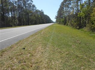 40 E State Rd, Pierson, FL 32180