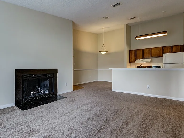 Bluff Ridge — Photo 17