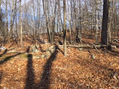 7 Abbotts Hill Rd, Newtown, CT, 06470