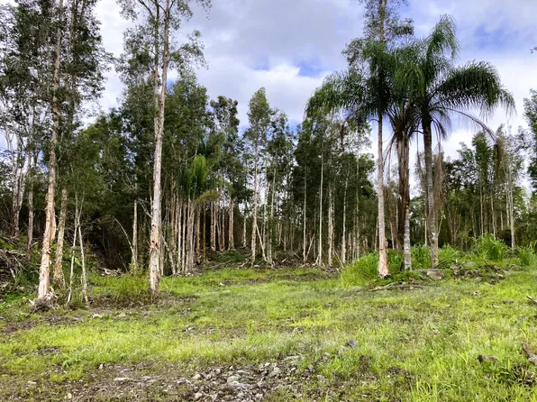 16-1234 Mapuana St Lot 81, Kurtistown, HI 96760