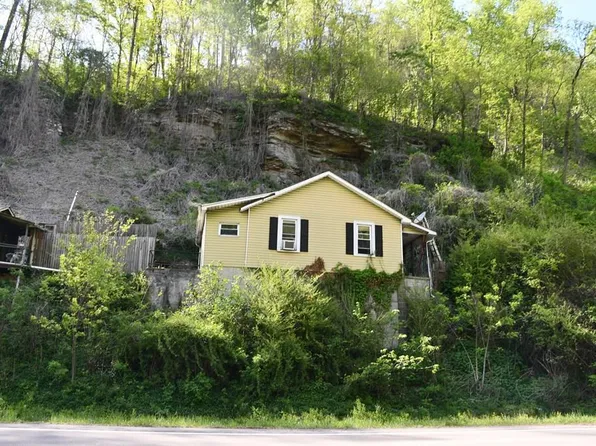 13162 Riverside Dr, Oakwood, VA 24631