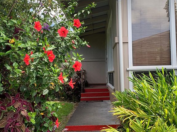 Front walkway greeting you with hibiscus and ginger.