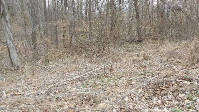 1st image of LOT 24 Beaver Ln
