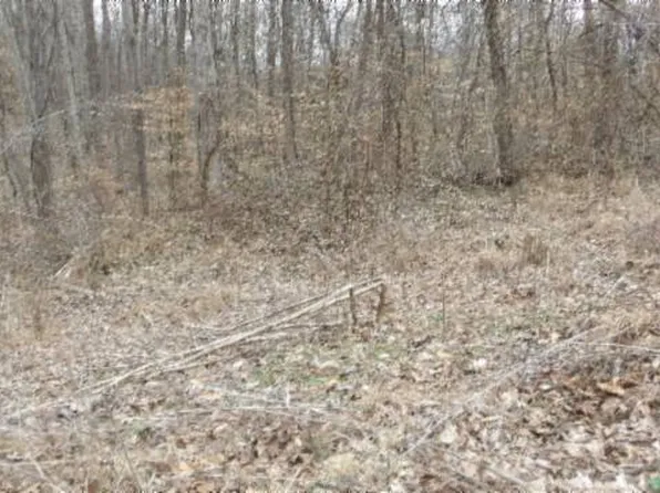 LOT 24 Beaver Ln, Gainesboro, TN 38562