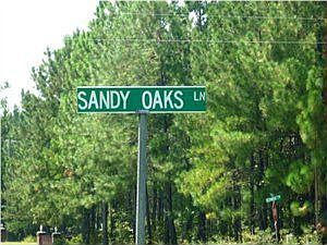 2nd image of 138 Sandy Oaks Ln