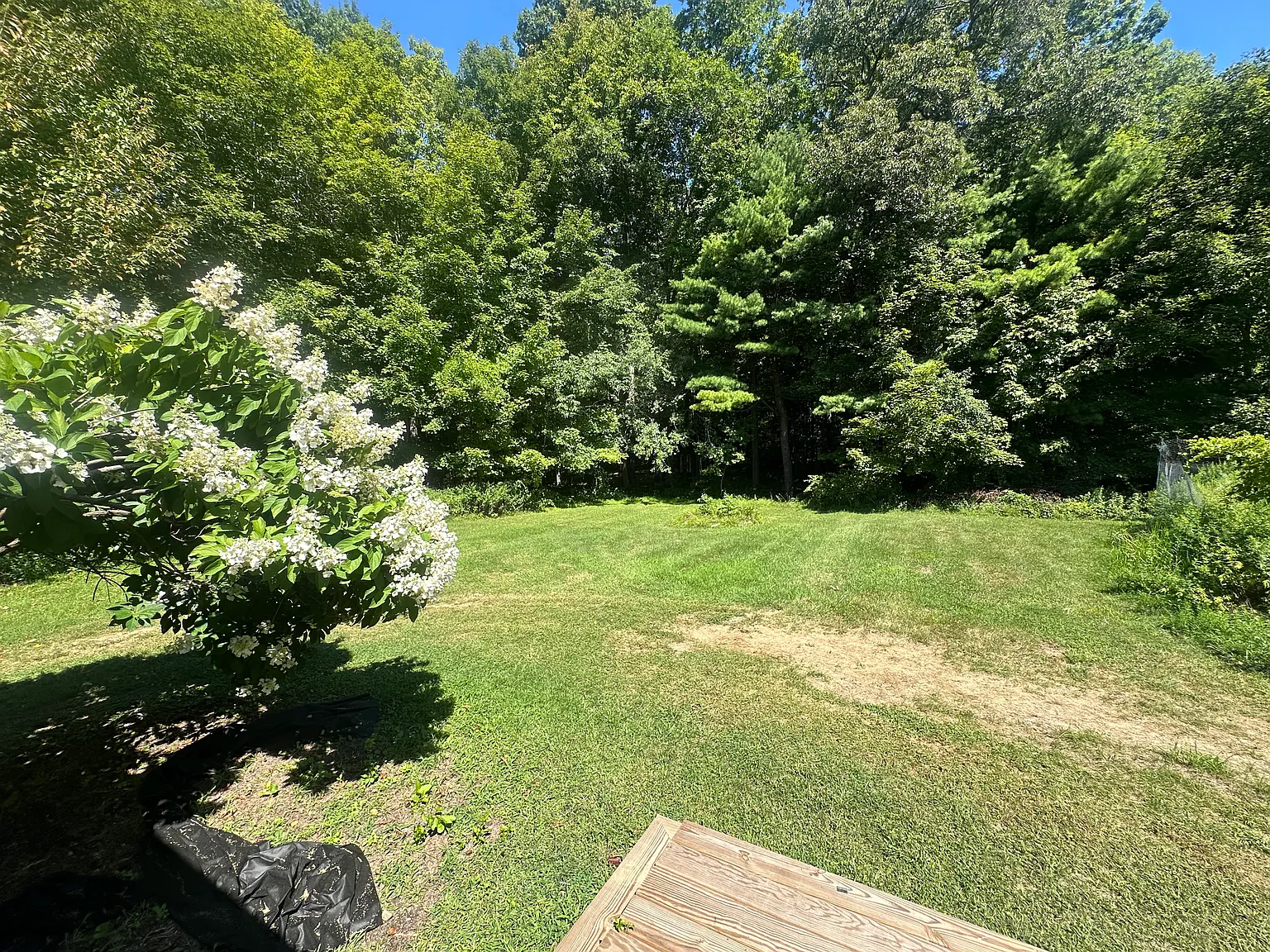 3 bed, 1.5 bath, 2500 sqft, $2,950 — Photo 2