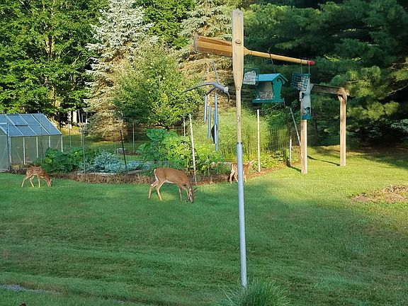 Typical view from deck