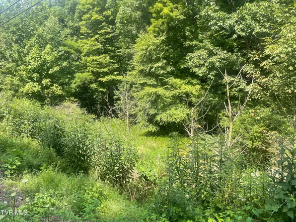 Tbd Highway 19e, Hampton, TN 37658