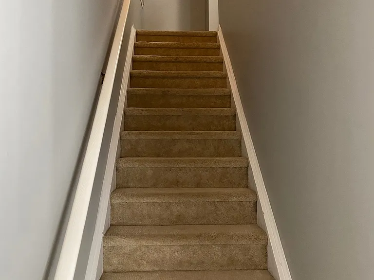 10530 Plantain Ct — Photo 10