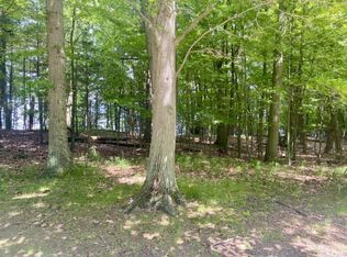 LOT 19 Towering Oaks Dr, Pt Austin, MI 48467