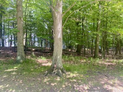 LOT 19 Towering Oaks Dr, Pt Austin, MI, 48467