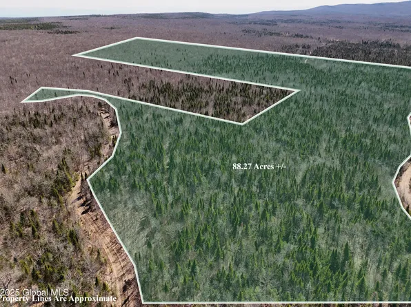 L10.2 Jerusalem Road, Altona, NY 12910