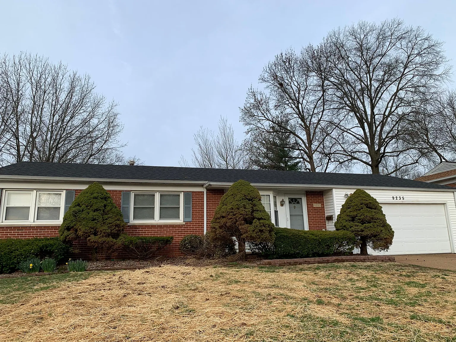 9235 Papoose Dr photo 1