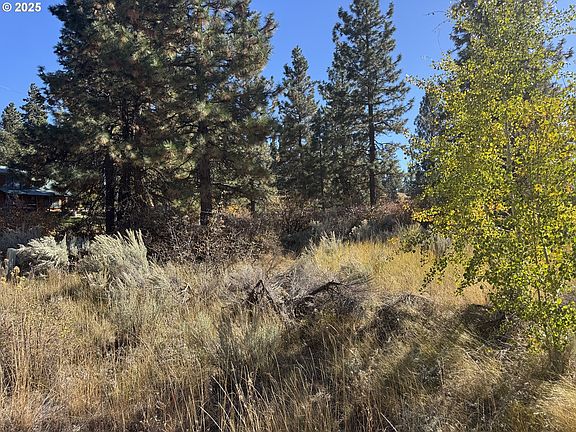 3rd image of Irving Way #51