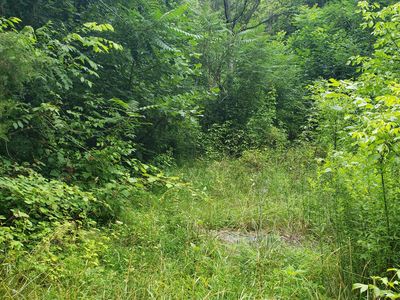 220 Reesor Hollow Rd, Church Hill, TN, 37642