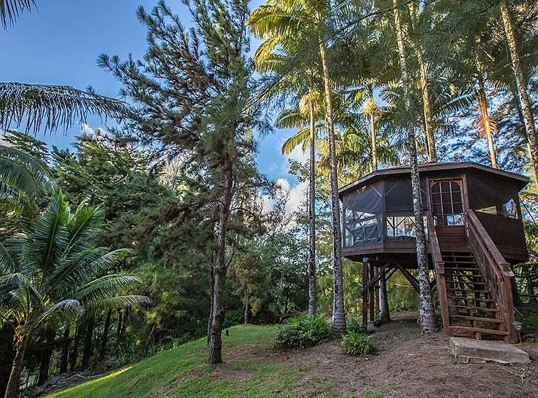 372 Puu Way — Photo 33