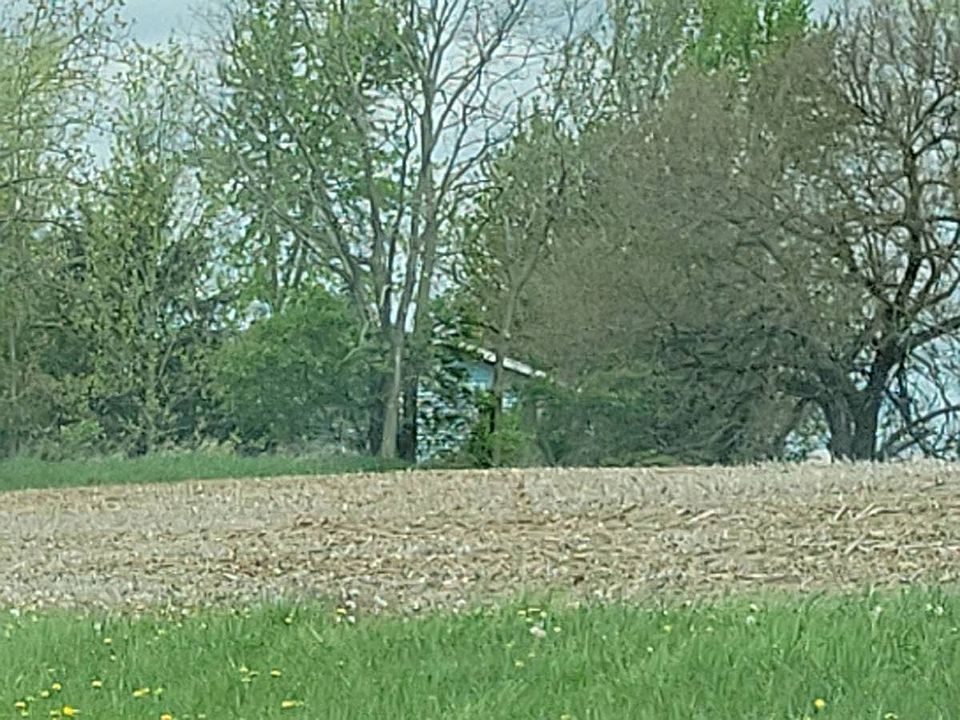 2nd image of 5355 Burton Rd