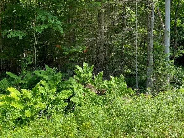 Sequoia Rd, Thendara, NY 13472