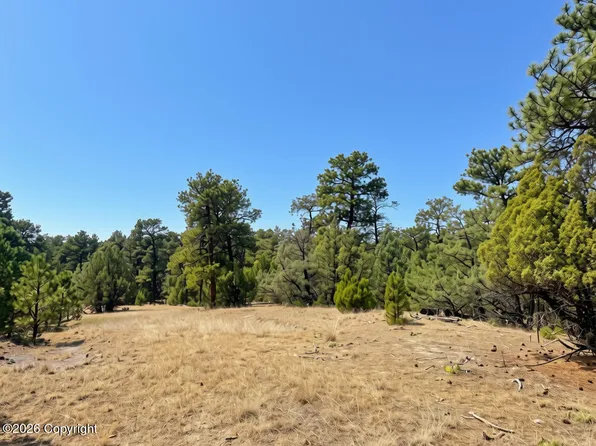 Coyote Dr, Moorcroft, WY 82721