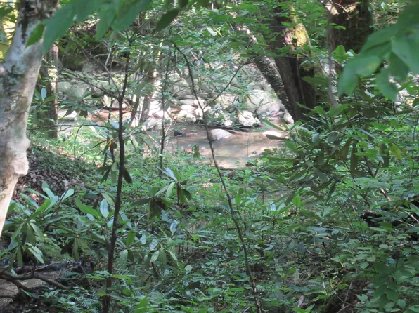 4 Rocky Flats Rd Lot 4, Cosby, TN 37722