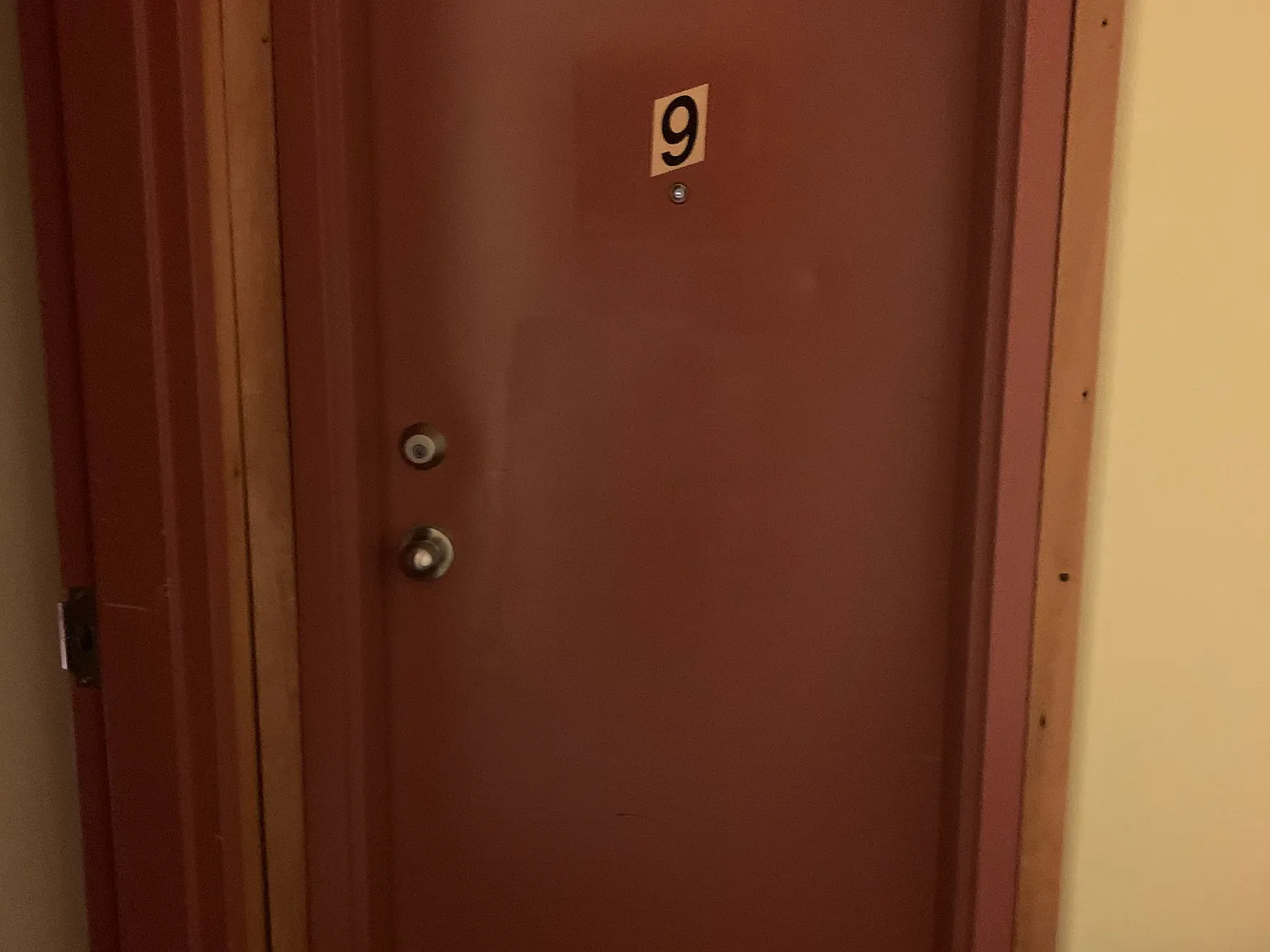 1 bed, $1,275 — Photo 1