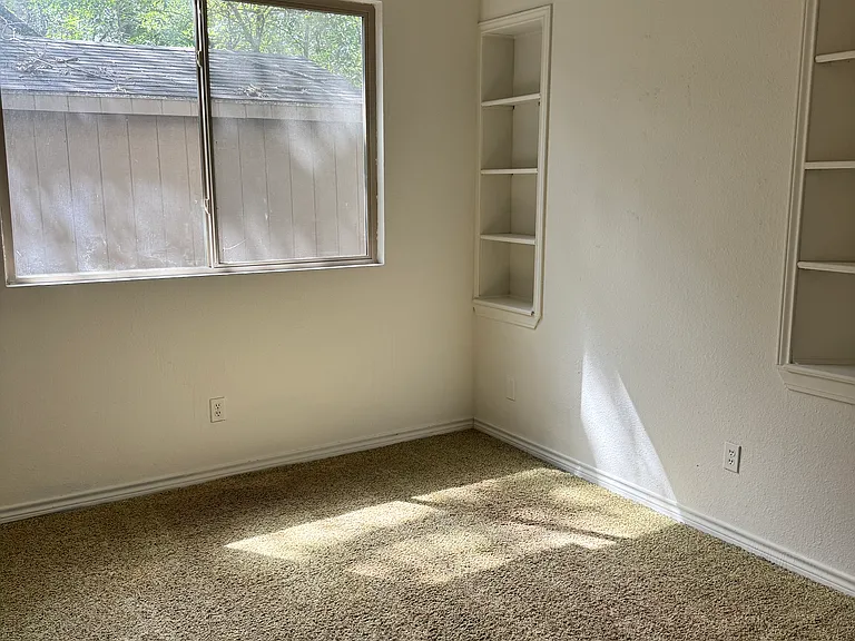 10101 Alcott Cv — Photo 15