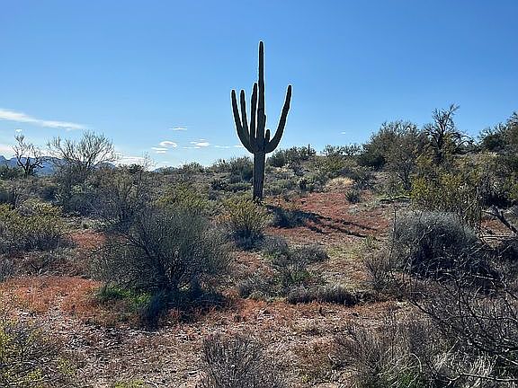 5th image of 13711 N Blue Coyote Trl