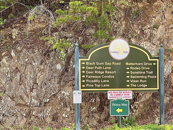4th image of 0 Black Gum Gap Rd