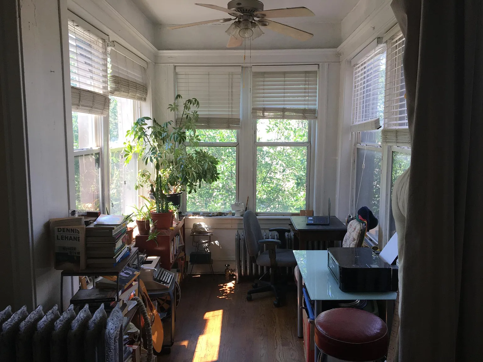 1 bed, 1000 sqft, $1,600 — Photo 1