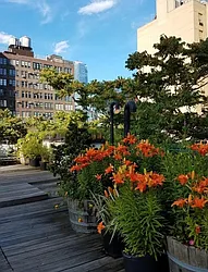 Rented by R New York