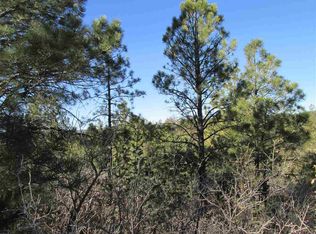 10 Malory Dr, Timberon, NM 88350