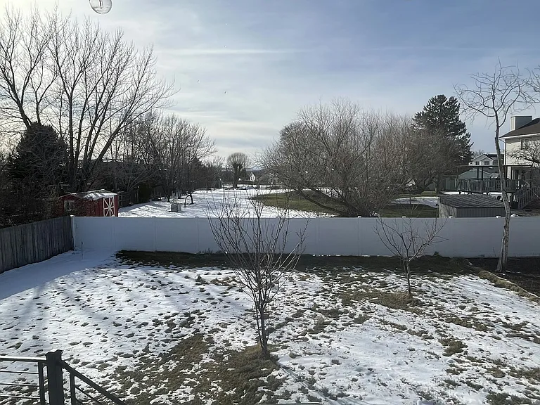 Back yard