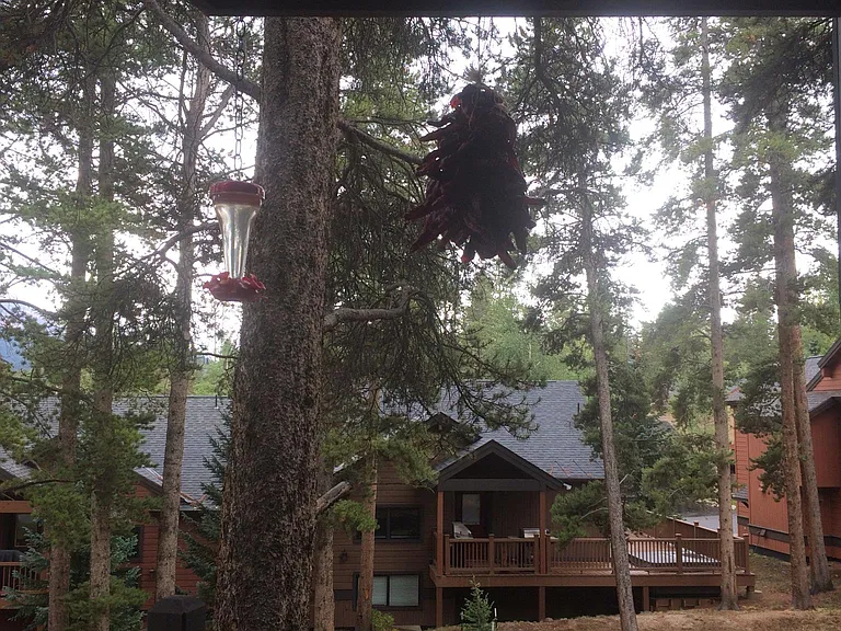 1127 Ski Hill Rd #F-96 — Photo 5