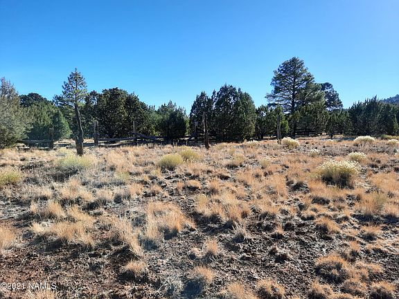 3rd image of 7141 N Noel Way
