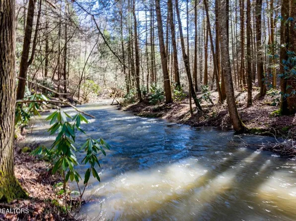 140 Luna Ln, Spring City, TN 37381