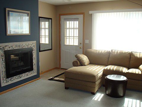 Living Room and Fireplace