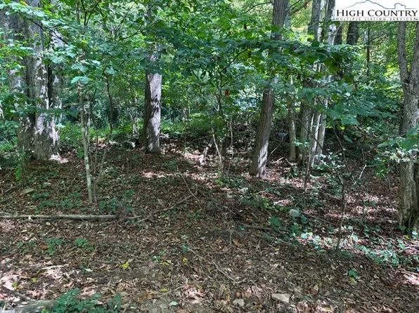 Lot 6 Billy Bob Lane, West Jefferson, NC 28615