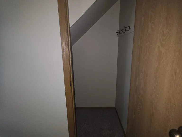 Closet under the stairs