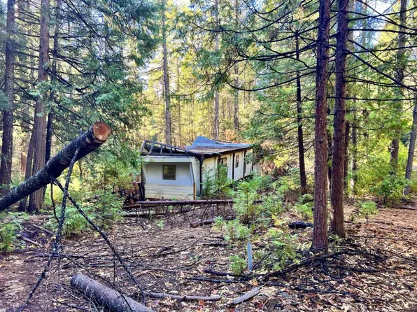 Sleighbell, Georgetown, CA 95634