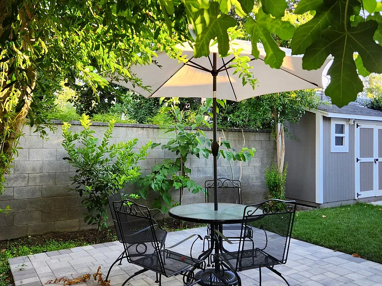 Patio view