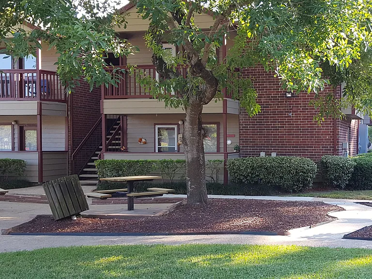 Serene picnic area