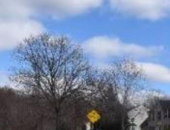Exterior Neighborhood (street photo)