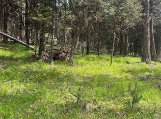 1274 Grandview Dr, Seeley Lake, MT 59868