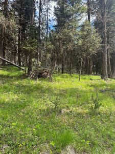 1274 Grandview Dr, Seeley Lake, MT, 59868