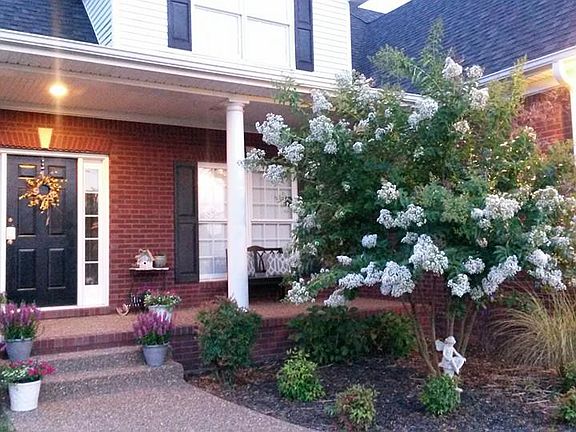 2nd image of 3706 Silver Sun Dr