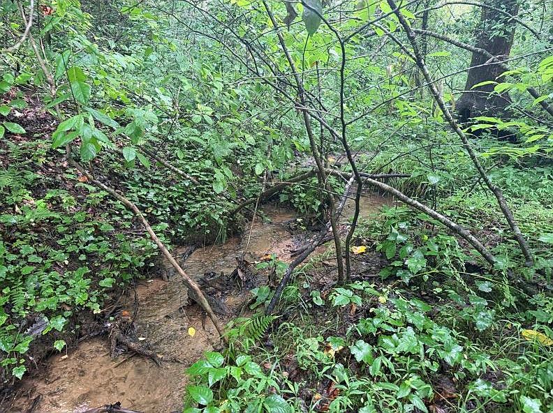 1st image of Charlotte Mountain Rd