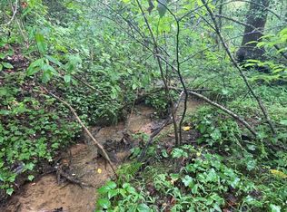 Charlotte Mountain Rd, Ellijay, GA 30540