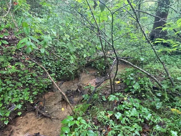 Charlotte Mountain Rd, Ellijay, GA 30540